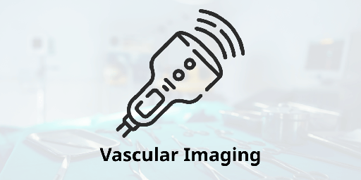 24 August 2026 - Vascular Imaging